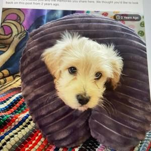 Meet your Posher, Alma